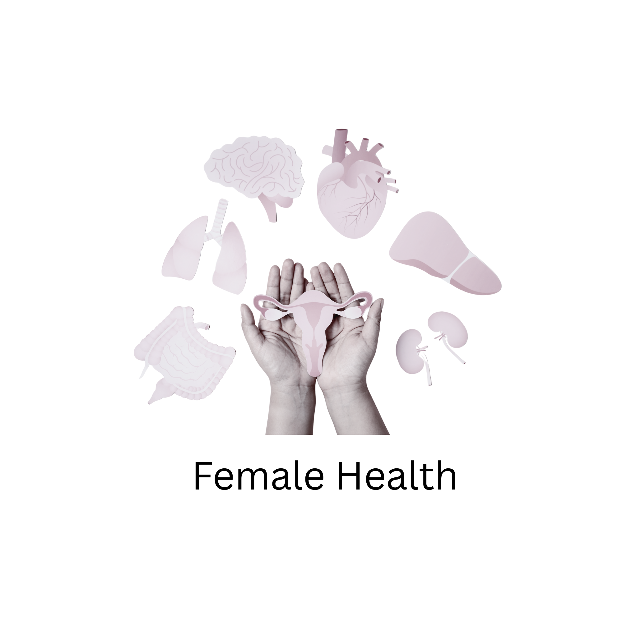 Female Health