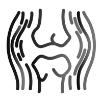 Skin Elasticity 